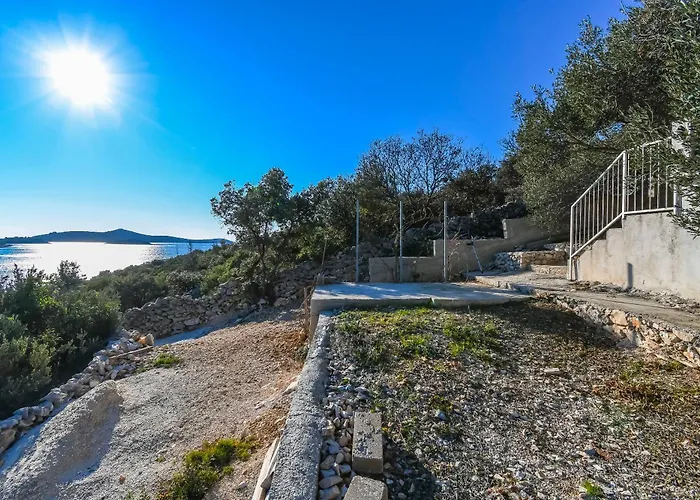 House Small Robinson * Sevid