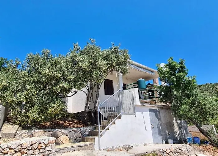 House Small Robinson Sevid
